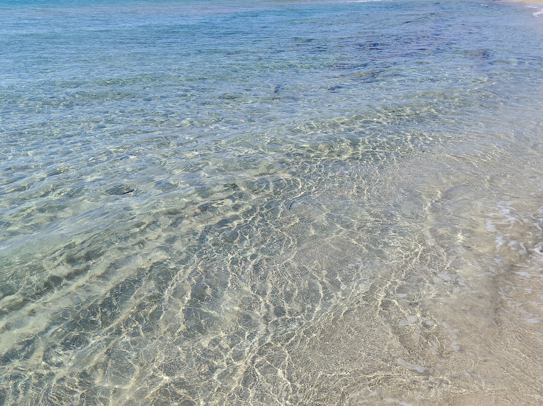 Spiaggia di Baia Verde-Baia Verde必去景点