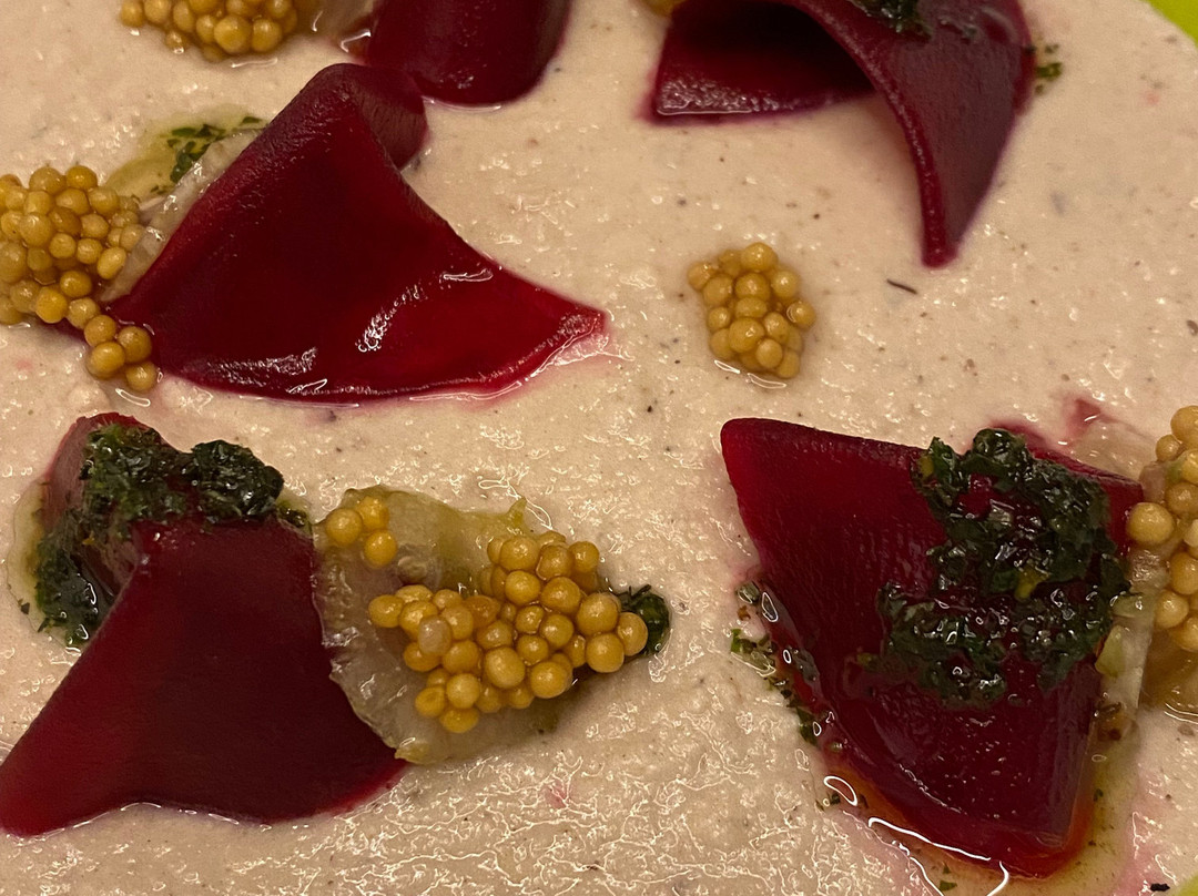 Nuvo Gastronomia
