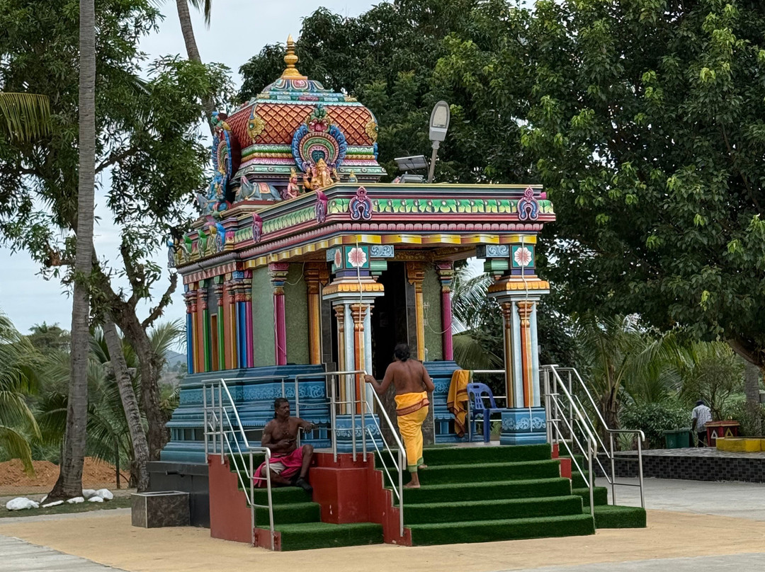 Sri Siva Subramaniya Swami Temple-纳迪市必去景点