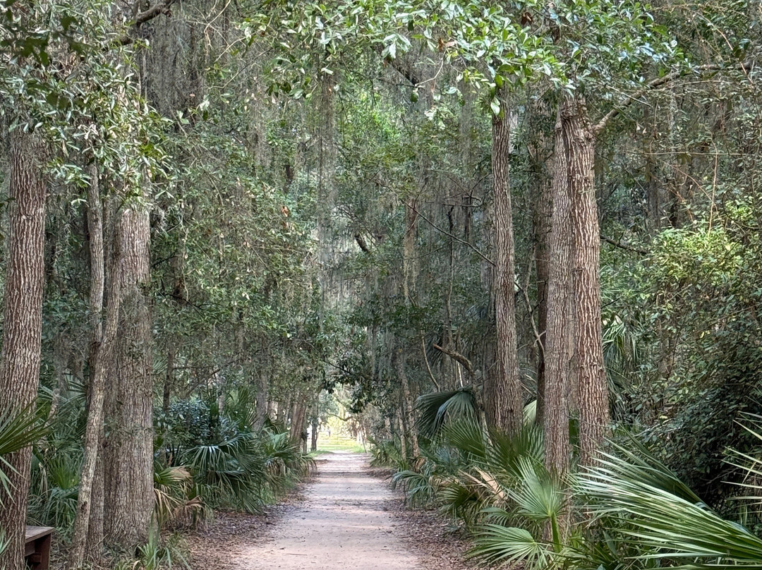 Wormsloe Historic Site-萨凡纳必去景点