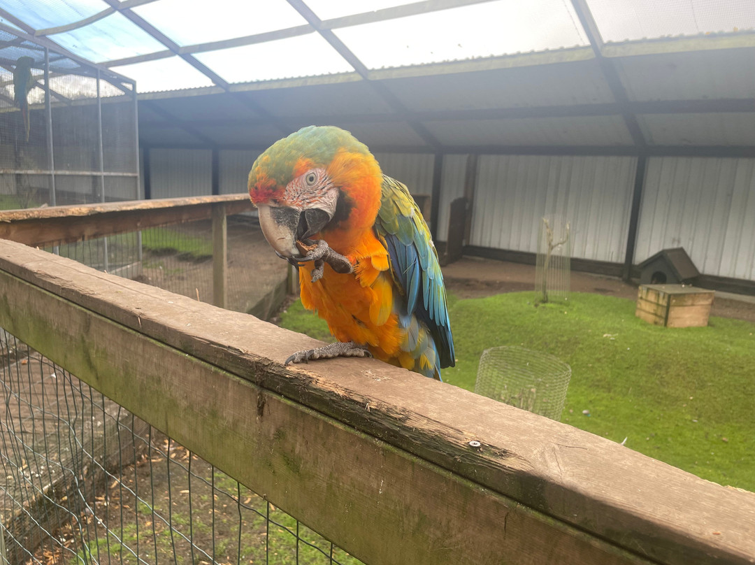 Dyrenes Verden Filskov Mini Zoo i Billund-格林斯泰兹必去景点