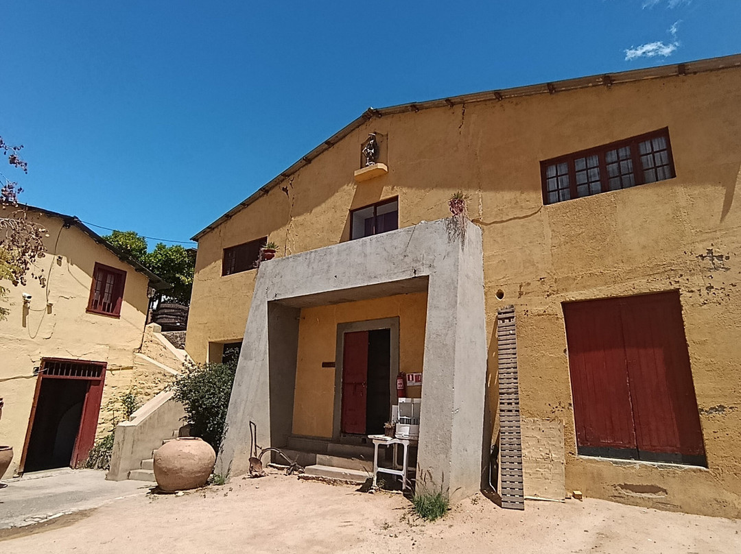 Fundo Los Nichos-Pisco Elqui必去景点