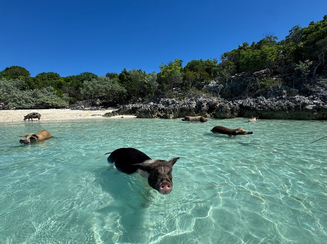 Exuma Water Sports-大埃克苏马必去景点