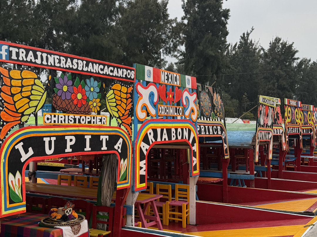 Floating Gardens of Xochimilco-墨西哥城必去景点