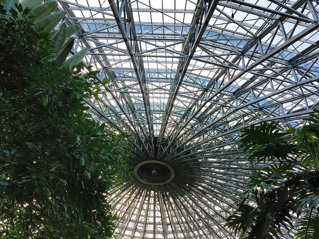 ZooParc de Beauval-圣艾尼昂必去景点
