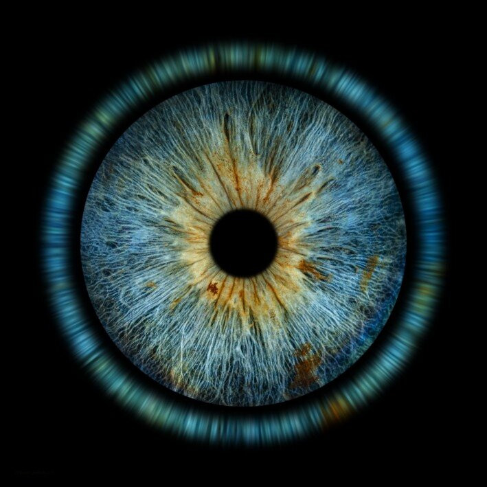 Iris Galerie Groningen