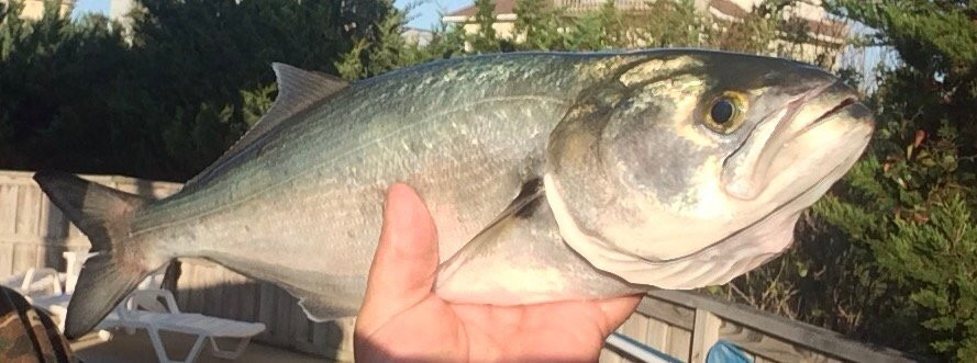 Cape Point Beach-Hatteras Island必去景点
