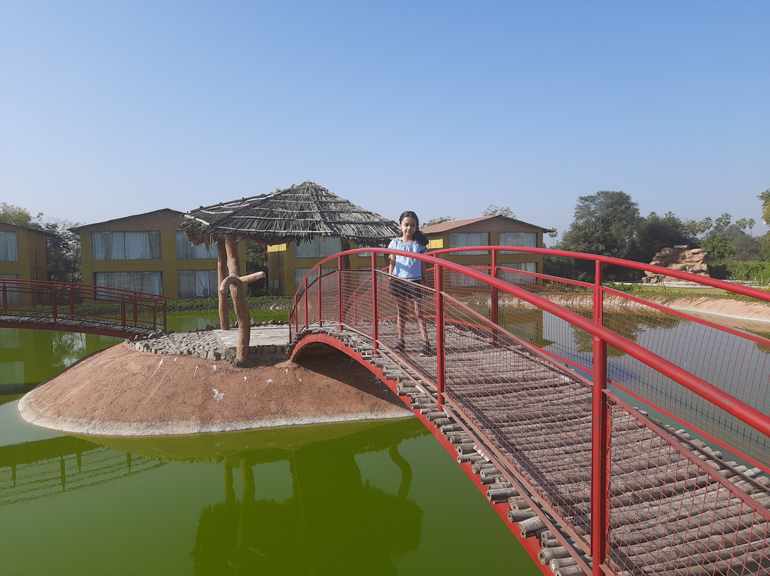 Statue Of Unity Eco Camp