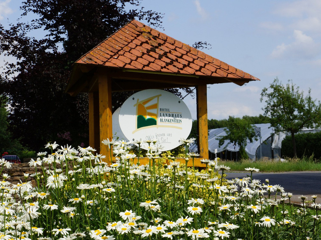 Roedinghausen酒店住宿-Hotel Landhaus Blankenstein