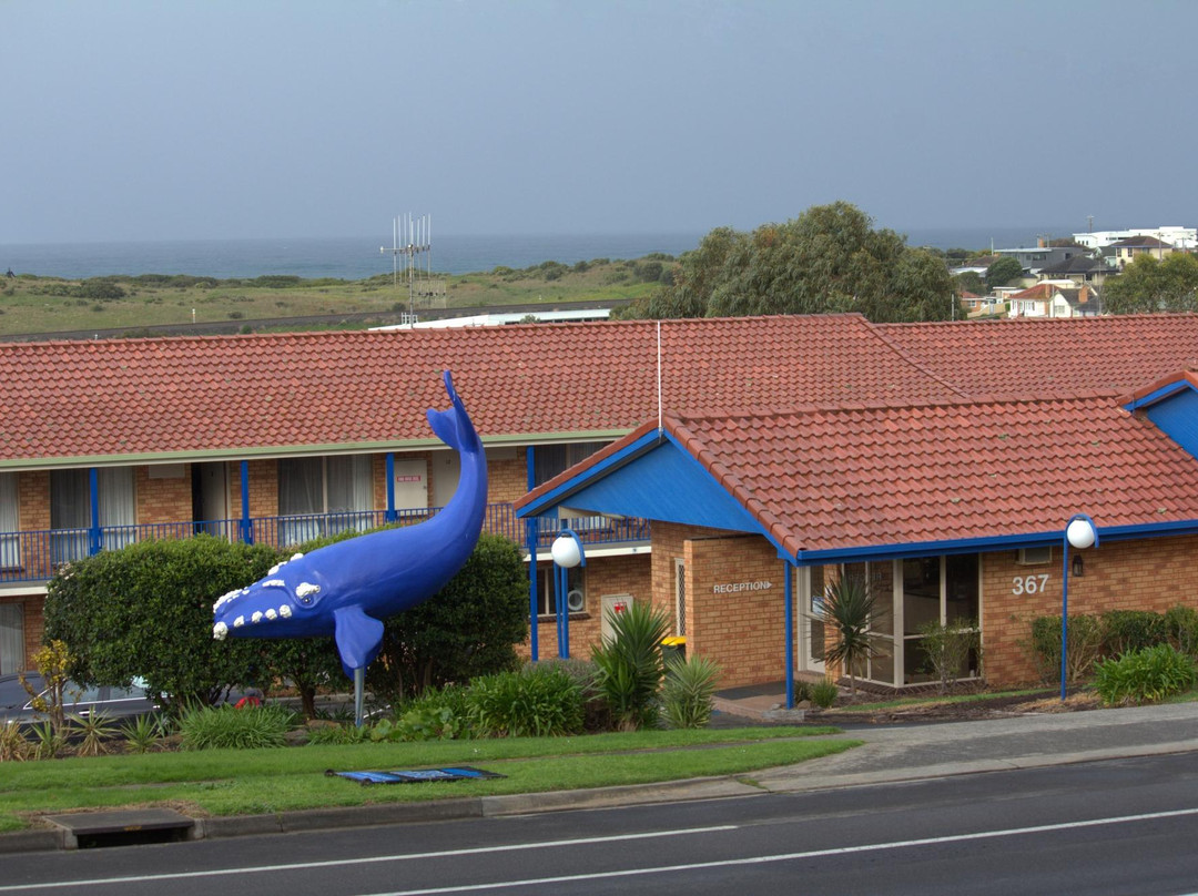 瓦南布尔酒店住宿-蓝鲸汽车公寓酒店