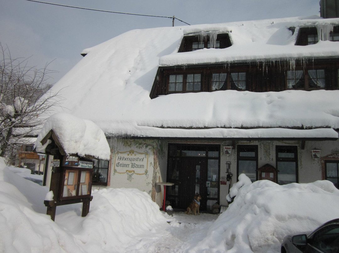 菲尔德山酒店住宿-Hotel Höhengasthof Grüner Baum