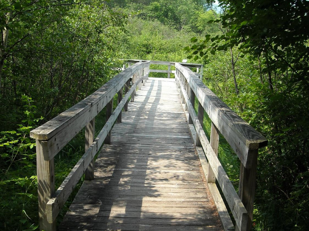 Robert Frost Wayside Trail