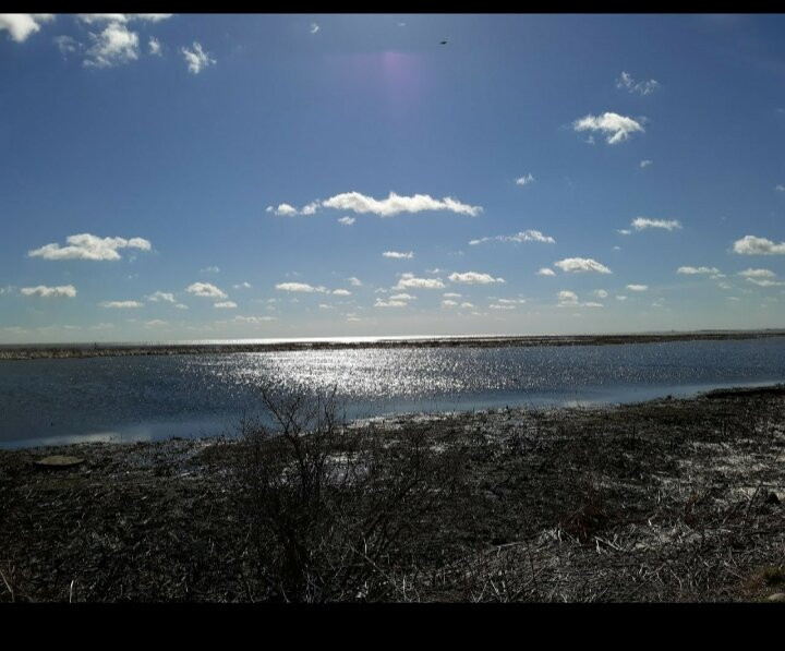 Nayanquing Point State Wildlife Area景点图片