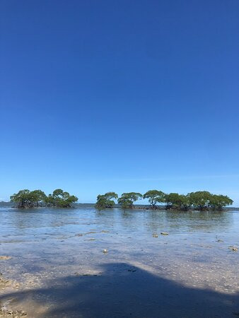Coco Dendê Boipeba-Ilha de Boipeba必去景点