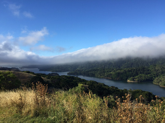 Crystal Springs Golf Club-伯灵格姆必去景点