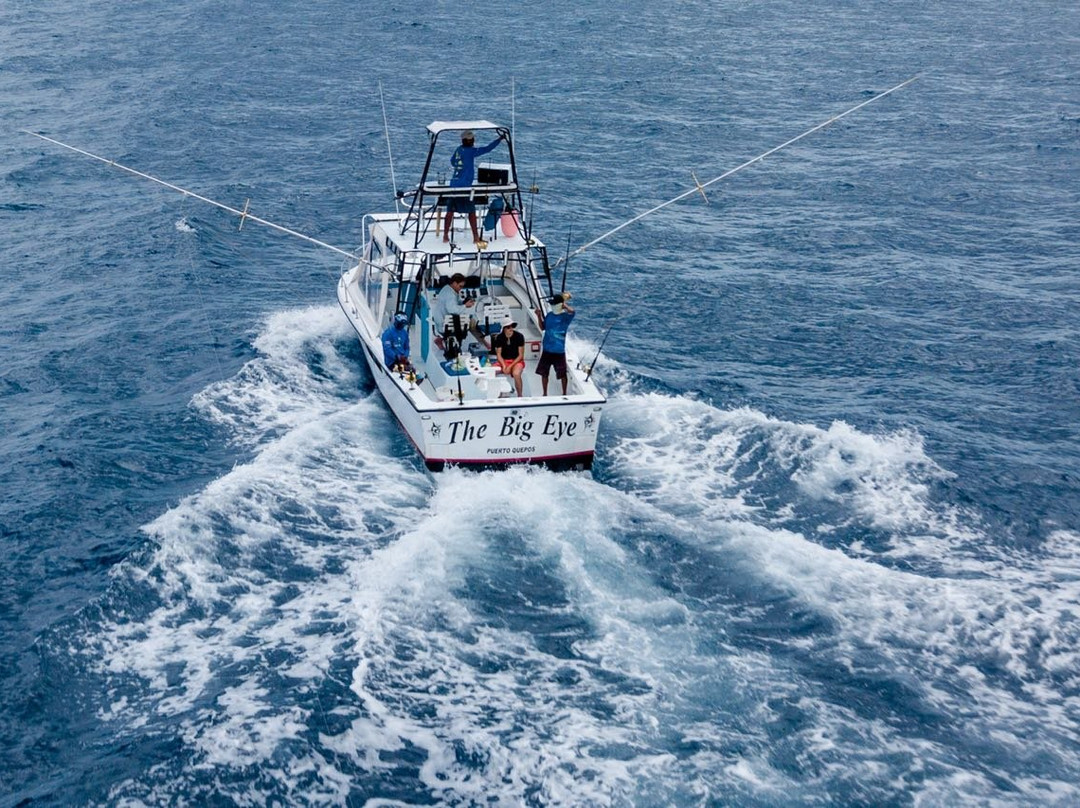 Sea Star CR Sport Fishing and Adventure Tours景点图片