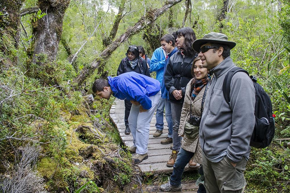 Siempre Verde Turismo-Castro必去景点