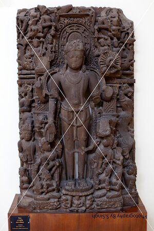 Rani Durgavati Museum-贾巴尔普尔必去景点