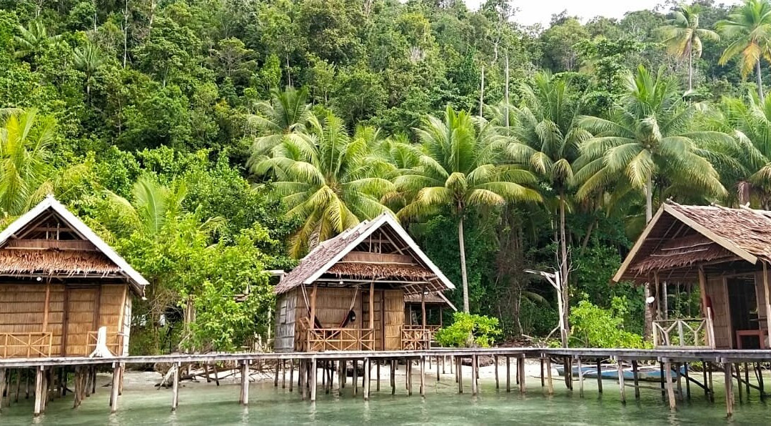 Pulau Pef旅游攻略图片