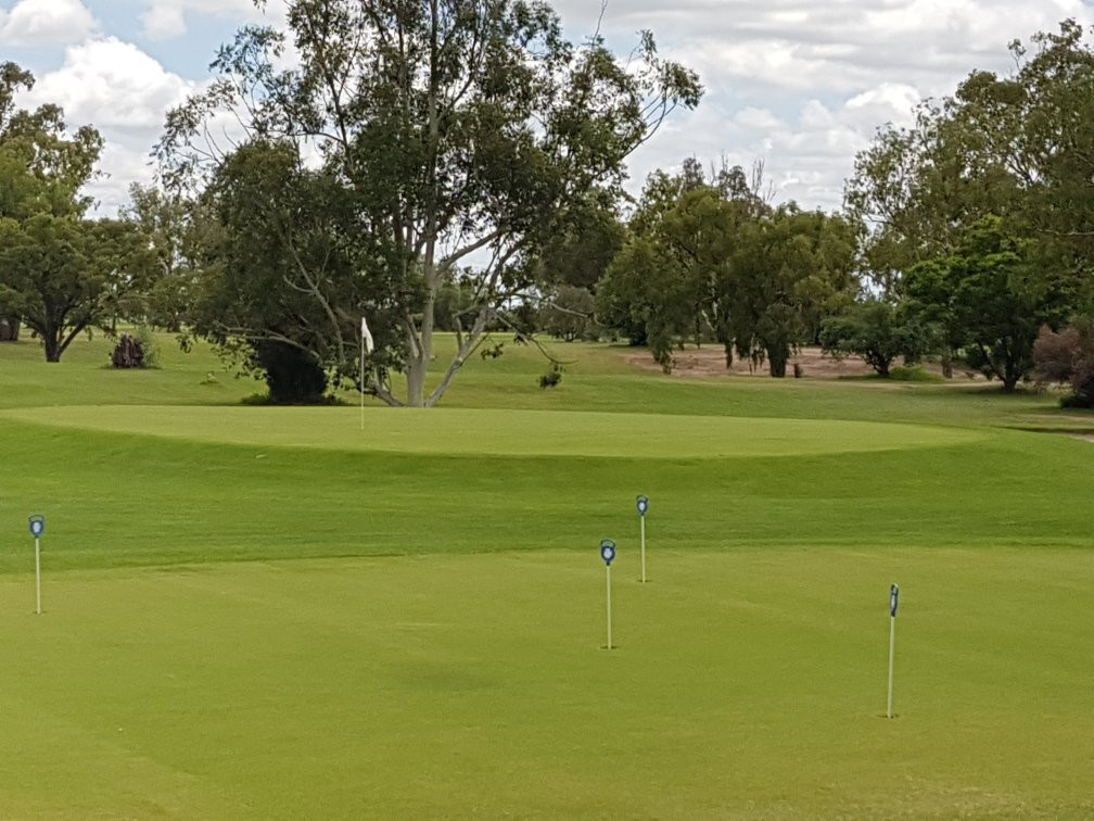 The Goondiwindi Golf Course景点图片