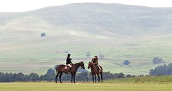 Absolute Polo-安德堡必去景点