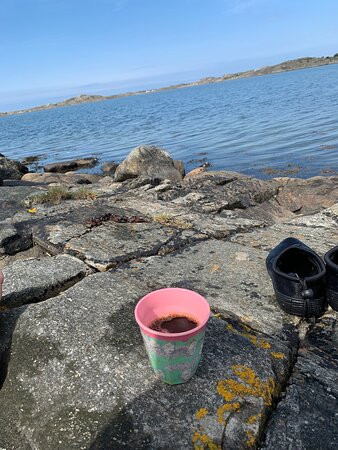 Tofta Herrgård主图