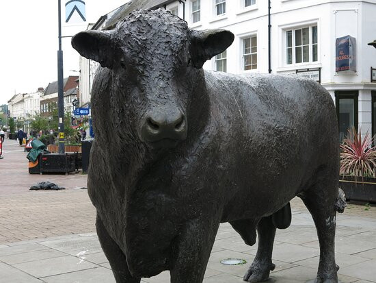 Hereford Bull Statue-赫里福德必去景点