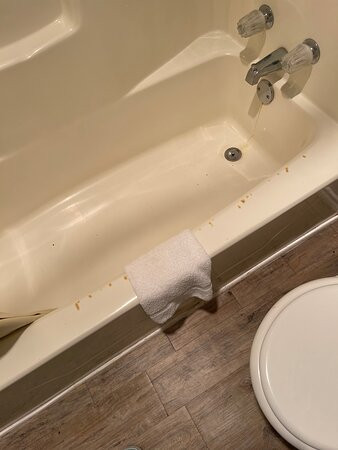 Bent Tree Motel主图