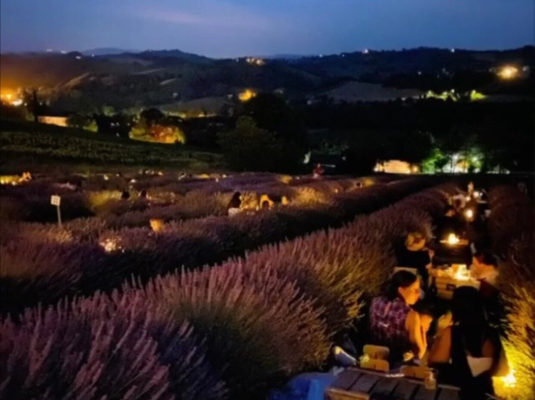 Azienda Agricola Valtresinaro景点图片