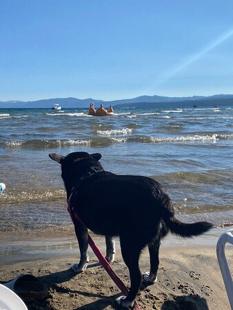 Crown Motel - Kings Beach主图