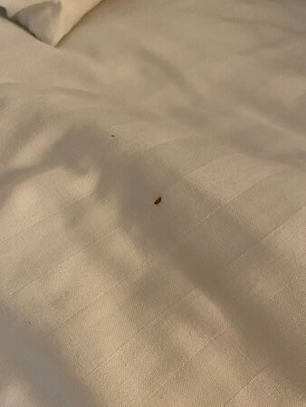 Best Western Plus Country Park Hotel主图