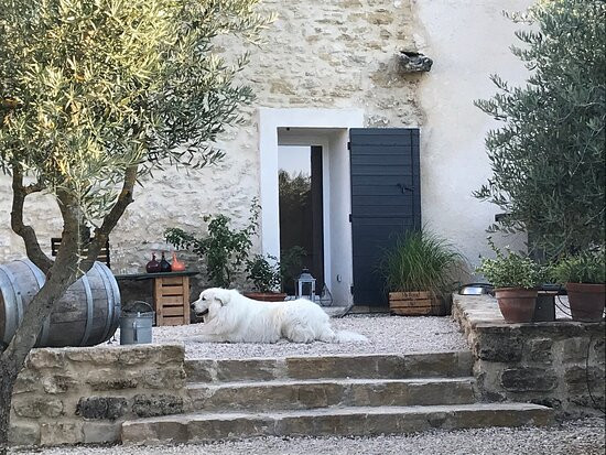 Maison d'hôtes Ventoureso主图