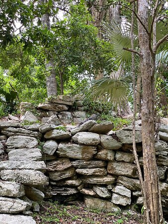 Jardín Botánico Dr. Alfredo Barrera Marin-从莫雷洛斯港必去景点