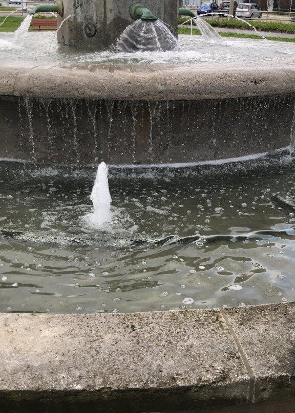 Schwanenbrunnen-Zwickau必去景点
