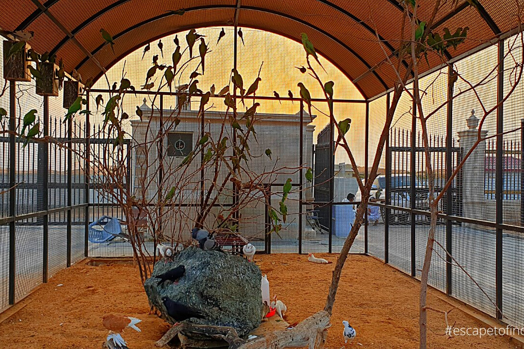 The Zoo Wild Life Park-乌姆盖万必去景点