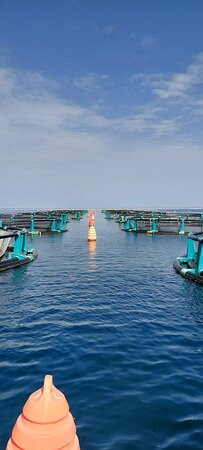 Fonda Fish Farm-波多若斯必去景点