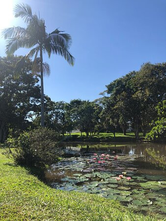 Timbó Botanical Garden-Timbo必去景点