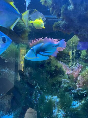 Aquarium Wasserbillig-Wasserbillig必去景点