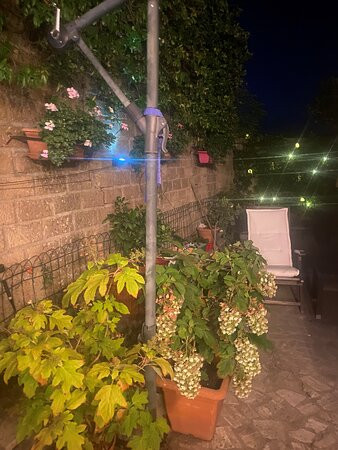 教区客栈酒店主图