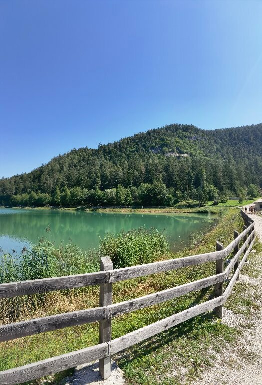 Sentiero nella Roccia per San Romedio景点图片