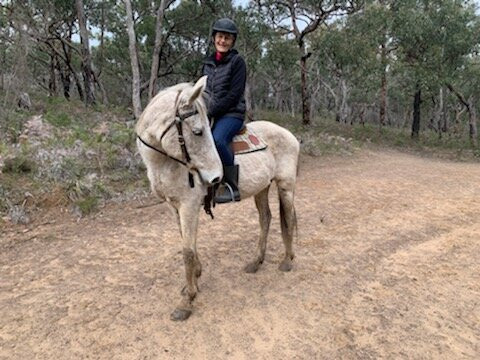 Spring Creek Horse Rides景点图片