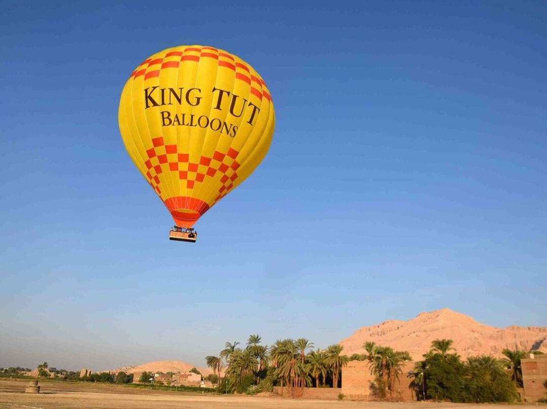 King Tut Hot Air Balloons-卢克索必去景点
