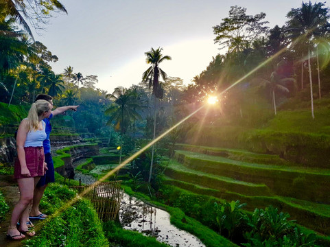 Bali Travel Expert-乌布必去景点