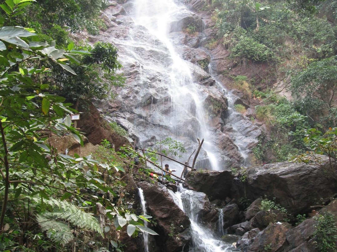 Katiki Falls景点图片