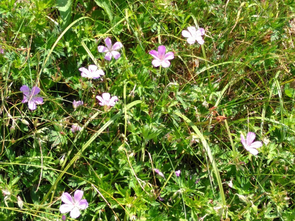 Utsukushi Tower-松本市必去景点