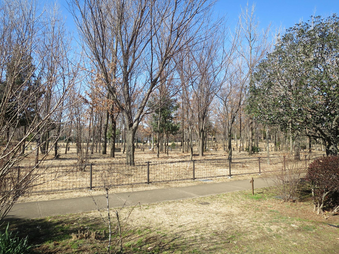 Kashinomiya Park景点图片