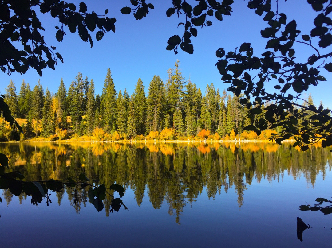 McConnell Lake Provincial Park景点图片