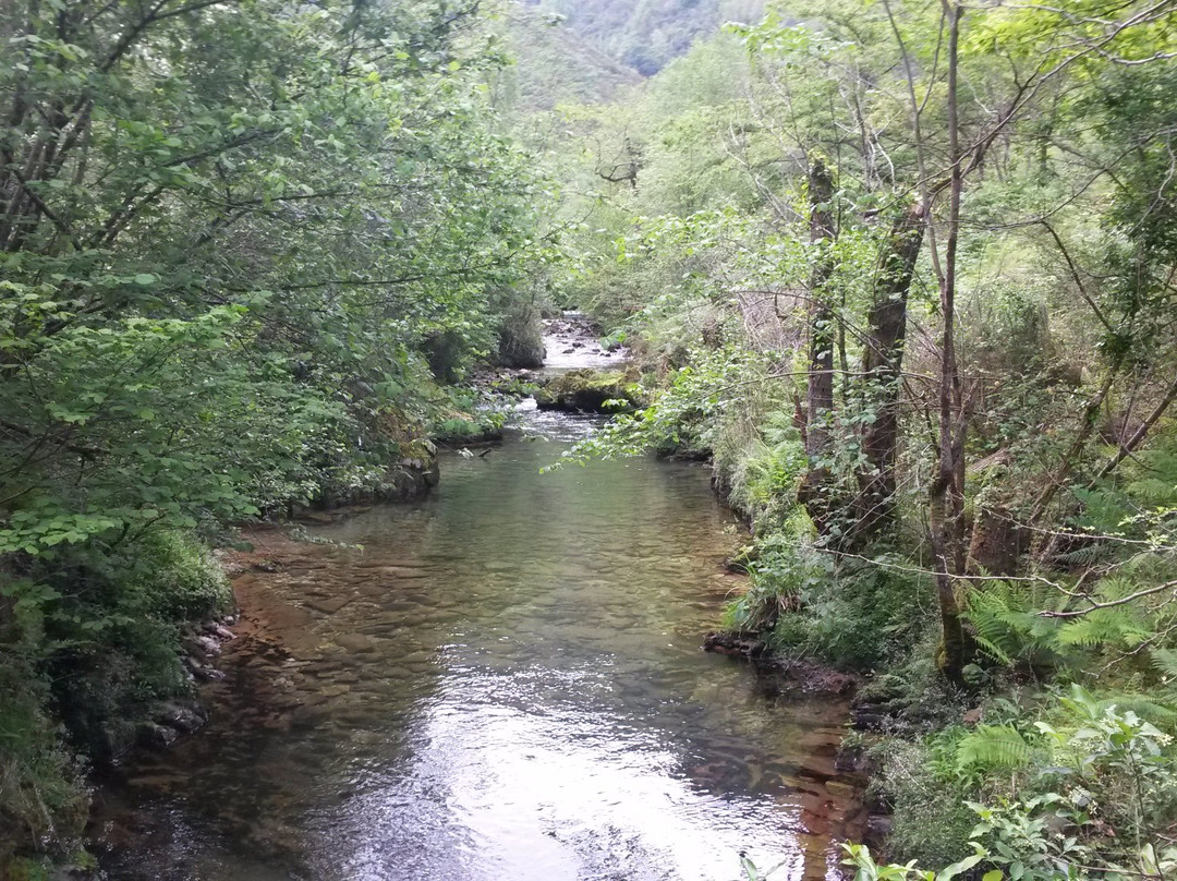 Puron旅游攻略图片
