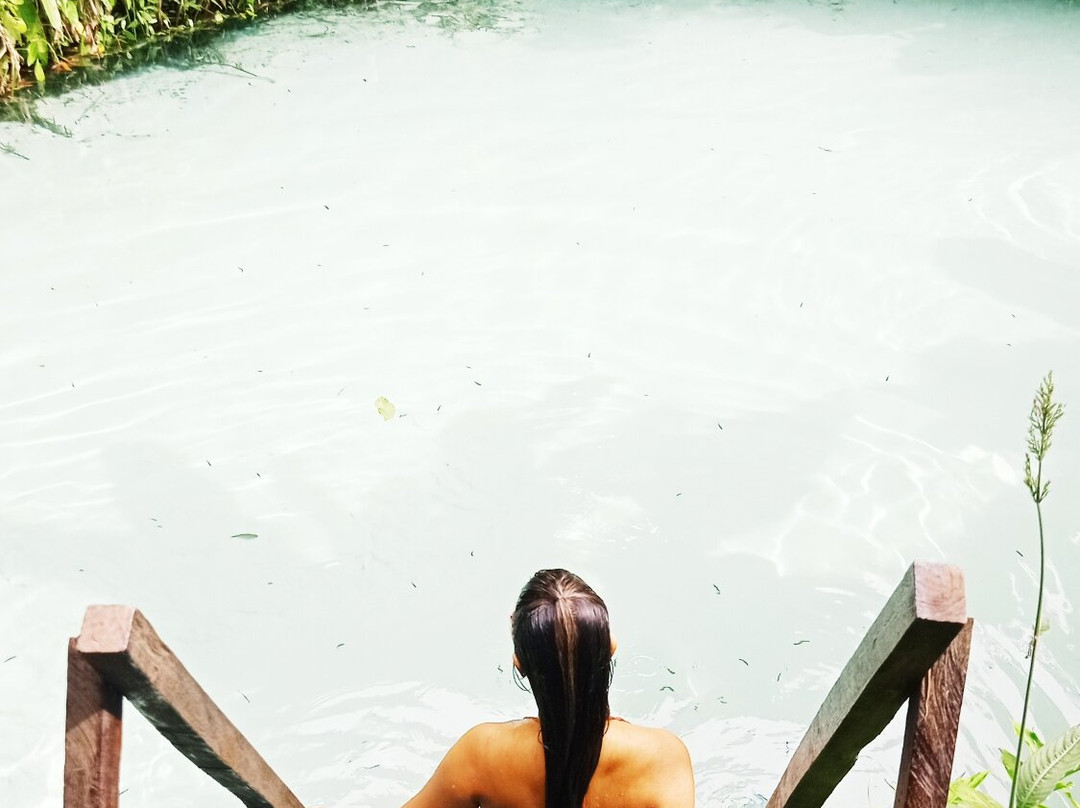 Fervedouro do Buriti-Mateiros必去景点