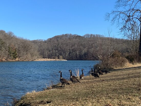 Warriors' Path State Park-金斯波特必去景点